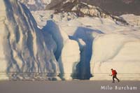 R_ICES_0025